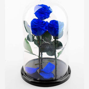 3 Trandafiri Criogenati XL Albastrii In Cupolă De Sticlă Cu Mesaj Personalizat Cadou Elegant