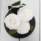 3 Trandafiri Criogenati XL Albi Diametru 6,5 Cm In Cupola De Sticla Cu Mesaj Personalizat Cadou Romantic Durabil