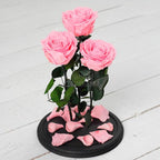 3 Trandafiri Criogenati XL Roz in Cupolă De Sticlă 15x25 Cm Cu Mesaj Personalizat Scris