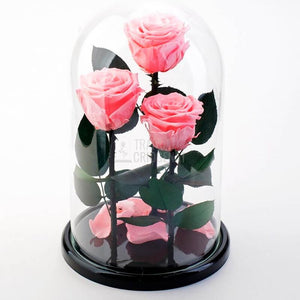 3 Trandafiri Criogenati XL Roz in Cupolă De Sticlă 15x25 Cm Cu Mesaj Personalizat Scris