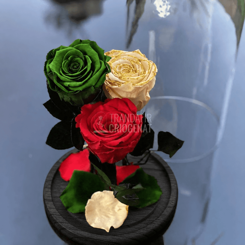 3 trandafiri criogenați (1 crem, 1 verde, 1 roșu) în cupolă de sticlă 15 × 25 cm, cu mesaj - Trandafir-Criogenat.ro