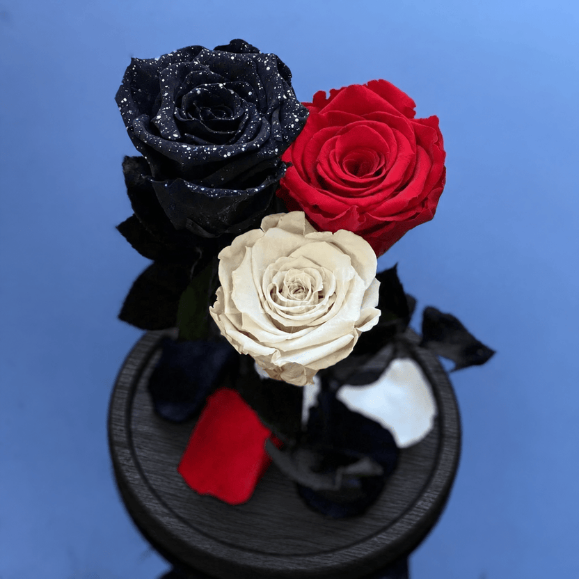3 trandafiri criogenați (1 negru, 1 roșu, 1 alb) în cupolă de sticlă 15 × 25 cm, cu mesaj - Trandafir-Criogenat.ro