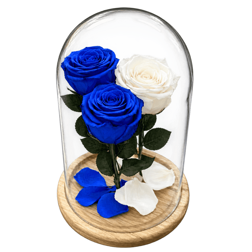 3 trandafiri criogenați (2 albaștri, 1 alb) în cupolă de sticlă 15 × 25 cm, cu mesaj - Trandafir-Criogenat.ro