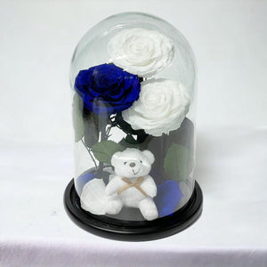 3 Trandafiri Criogenati 2 Albi 1 Albastru În Cupolă De Sticlă Cu Ursuleț Pluș - Trandafir - Criogenat.ro