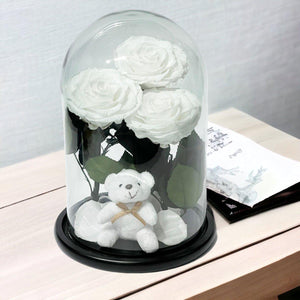 3 Trandafiri Criogenati Albi în Cupola de Sticlă cu Ursuleț Plush Cadou Special - Trandafir - Criogenat.ro