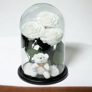 3 Trandafiri Criogenati Albi în Cupola de Sticlă cu Ursuleț Plush Cadou Special - Trandafir - Criogenat.ro