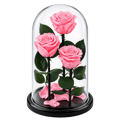3 trandafiri criogenați Standard roz pastel în cupolă de sticlă 15 × 25 cm - Trandafir-Criogenat.ro