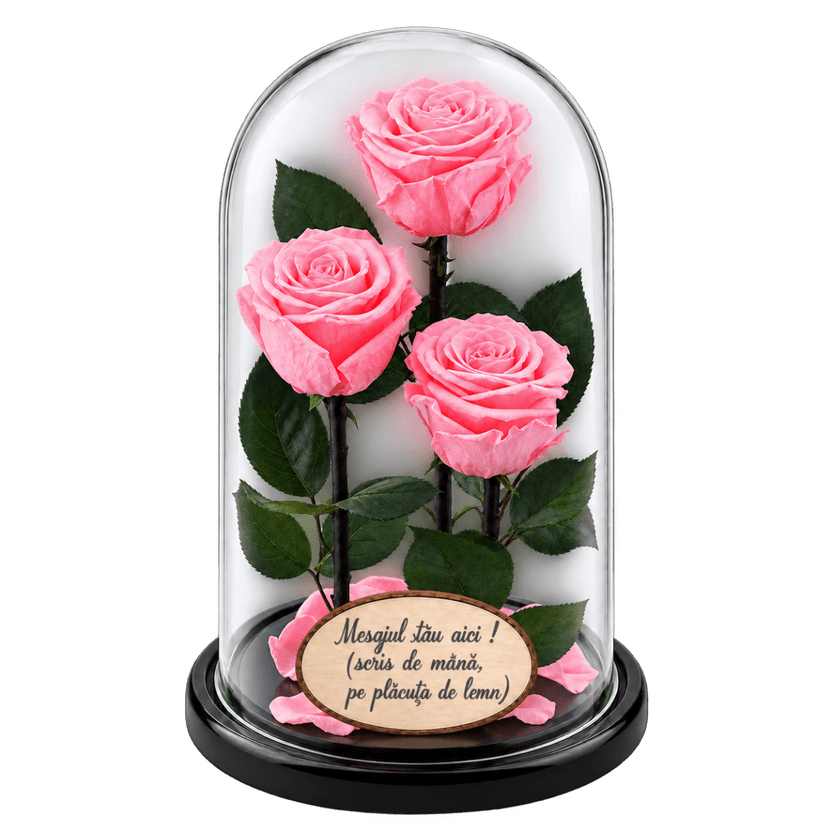 3 trandafiri criogenați Standard roz pastel în cupolă de sticlă 15 × 25 cm - Trandafir-Criogenat.ro