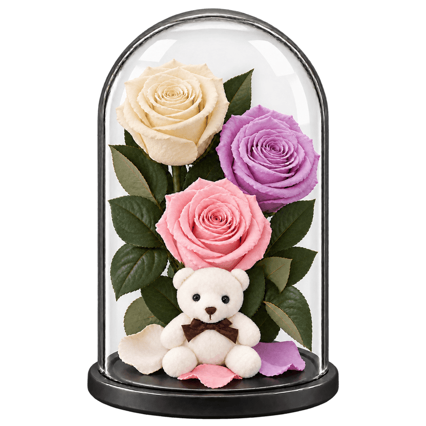 3 trandafiri criogenați XL (1 alb, 1 lila și 1 roz pal) în cupolă de sticlă 15 × 25 cm