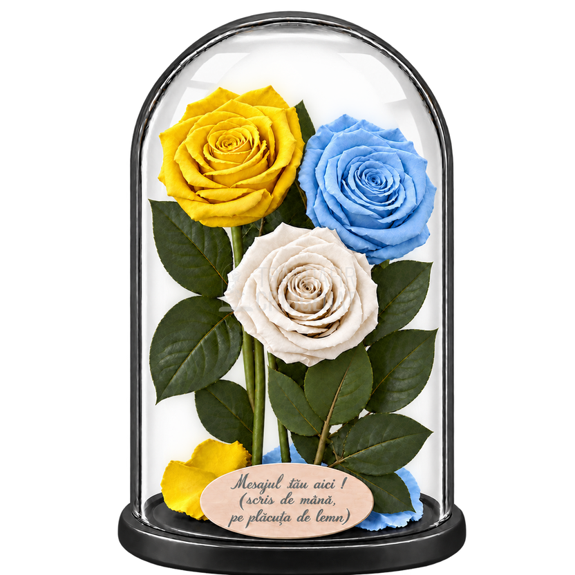 3 trandafiri criogenați XL (1 galben aprins, 1 bleu deschis și 1 alb) în cupolă de sticlă 15 × 25 cm - Trandafir-Criogenat.ro