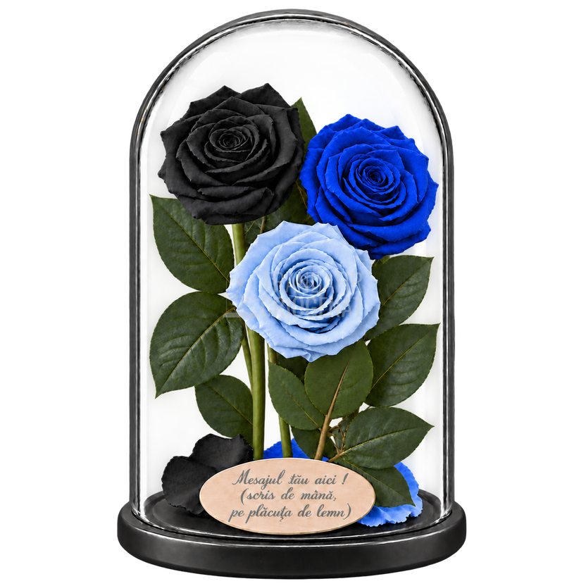 3 trandafiri criogenați XL (1 negru, 1 albastru și 1 bleu deschis) în cupolă de sticlă 15 × 25 cm - Trandafir-Criogenat.ro