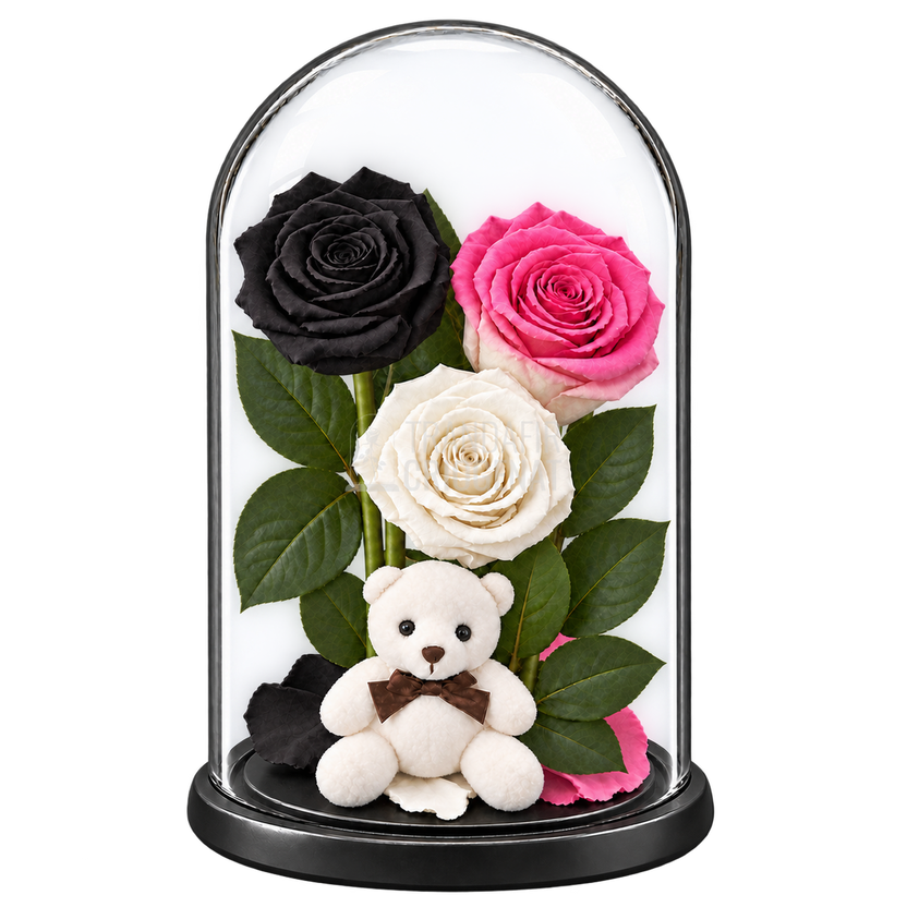 3 trandafiri criogenați XL (1 negru, 1 bicolor roz-alb și 1 alb) în cupolă de sticlă 15 × 25 cm - Trandafir-Criogenat.ro