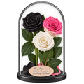 3 trandafiri criogenați XL (1 negru, 1 bicolor roz-alb și 1 alb) în cupolă de sticlă 15 × 25 cm - Trandafir-Criogenat.ro