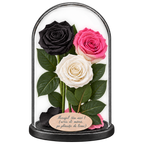 3 trandafiri criogenați XL (1 negru, 1 bicolor roz-alb și 1 alb) în cupolă de sticlă 15 × 25 cm - Trandafir-Criogenat.ro
