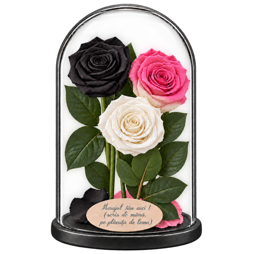 3 trandafiri criogenați XL (1 negru, 1 bicolor roz-alb și 1 alb) în cupolă de sticlă 15 × 25 cm - Trandafir-Criogenat.ro