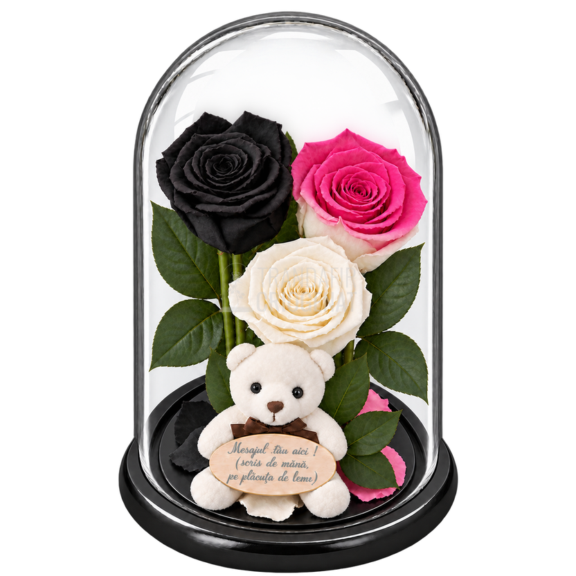 3 trandafiri criogenați XL (1 negru, 1 bicolor roz-alb și 1 alb) în cupolă de sticlă 15 × 25 cm - Trandafir-Criogenat.ro