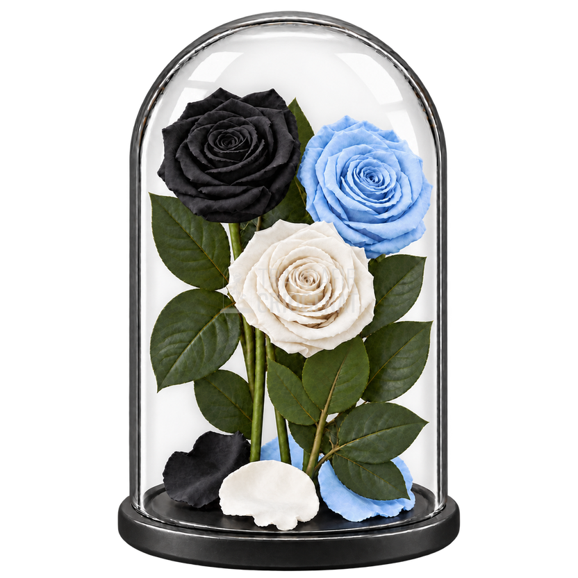 3 trandafiri criogenați XL (1 negru, 1 bleu deschis și 1 alb) în cupolă de sticlă 15 × 25 cm - Trandafir-Criogenat.ro