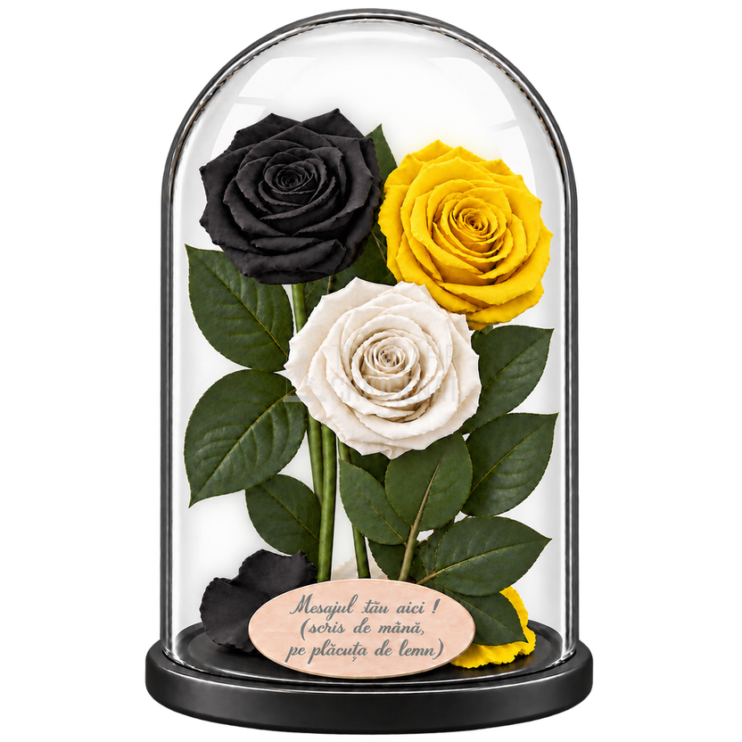 3 trandafiri criogenați XL (1 negru, 1 galben aprins și 1 alb) în cupolă de sticlă 15 × 25 cm - Trandafir-Criogenat.ro
