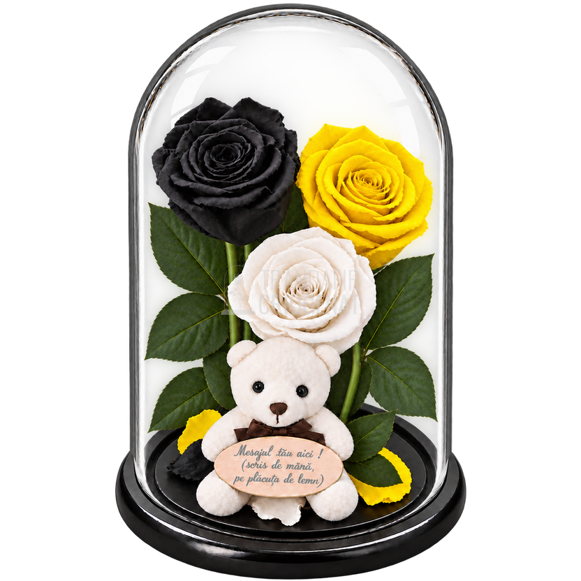 3 trandafiri criogenați XL (1 negru, 1 galben aprins și 1 alb) în cupolă de sticlă 15 × 25 cm - Trandafir-Criogenat.ro