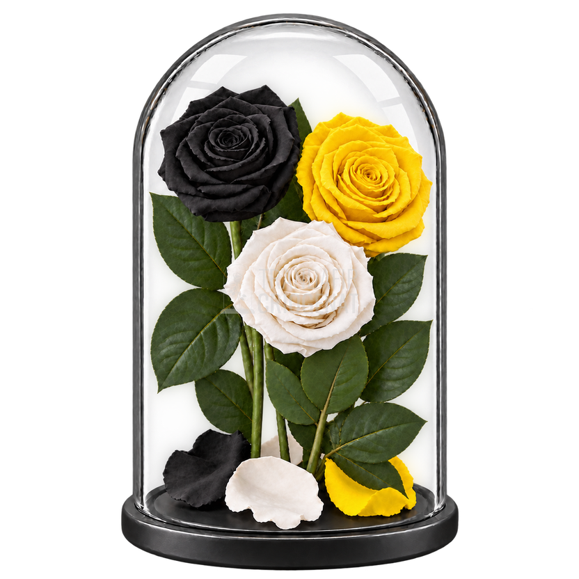 3 trandafiri criogenați XL (1 negru, 1 galben aprins și 1 alb) în cupolă de sticlă 15 × 25 cm - Trandafir-Criogenat.ro