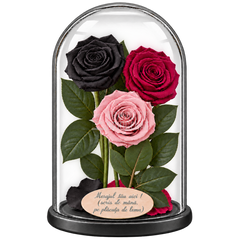 3 trandafiri criogenați XL (1 negru, 1 grena și 1 roz pal) în cupolă de sticlă 15 × 25 cm - Trandafir-Criogenat.ro