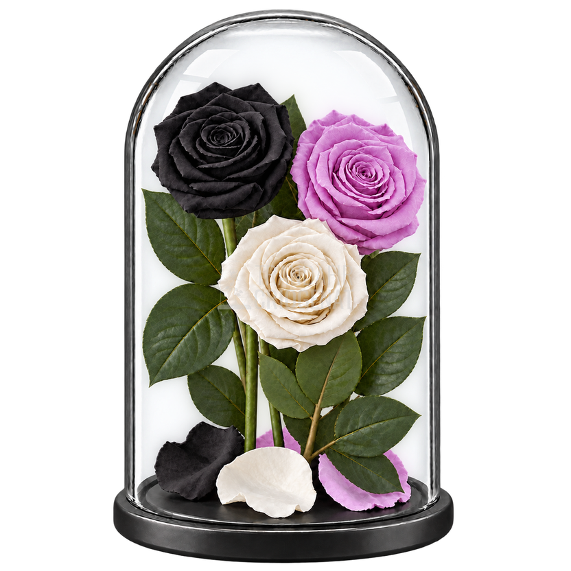 3 trandafiri criogenați XL (1 negru, 1 lila și 1 alb) în cupolă de sticlă 15 × 25 cm - Trandafir-Criogenat.ro