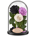 3 trandafiri criogenați XL (1 negru, 1 lila și 1 alb) în cupolă de sticlă 15 × 25 cm - Trandafir-Criogenat.ro