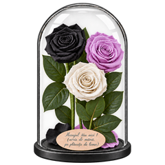 3 trandafiri criogenați XL (1 negru, 1 lila și 1 alb) în cupolă de sticlă 15 × 25 cm - Trandafir-Criogenat.ro