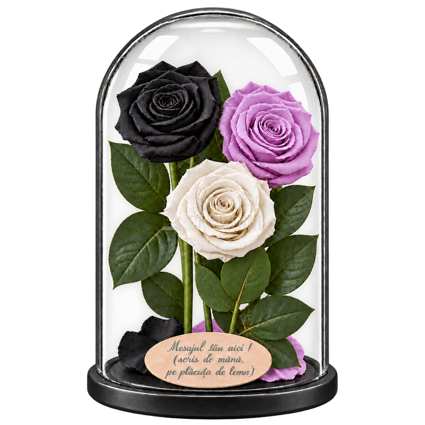 3 trandafiri criogenați XL (1 negru, 1 lila și 1 alb) în cupolă de sticlă 15 × 25 cm - Trandafir-Criogenat.ro
