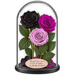 3 trandafiri criogenați XL (1 negru, 1 mov și 1 lila) în cupolă de sticlă 15 × 25 cm - Trandafir-Criogenat.ro
