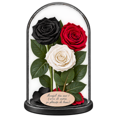 3 trandafiri criogenați XL (1 negru, 1 roșu închis și 1 alb) în cupolă de sticlă 15 × 25 cm - Trandafir-Criogenat.ro