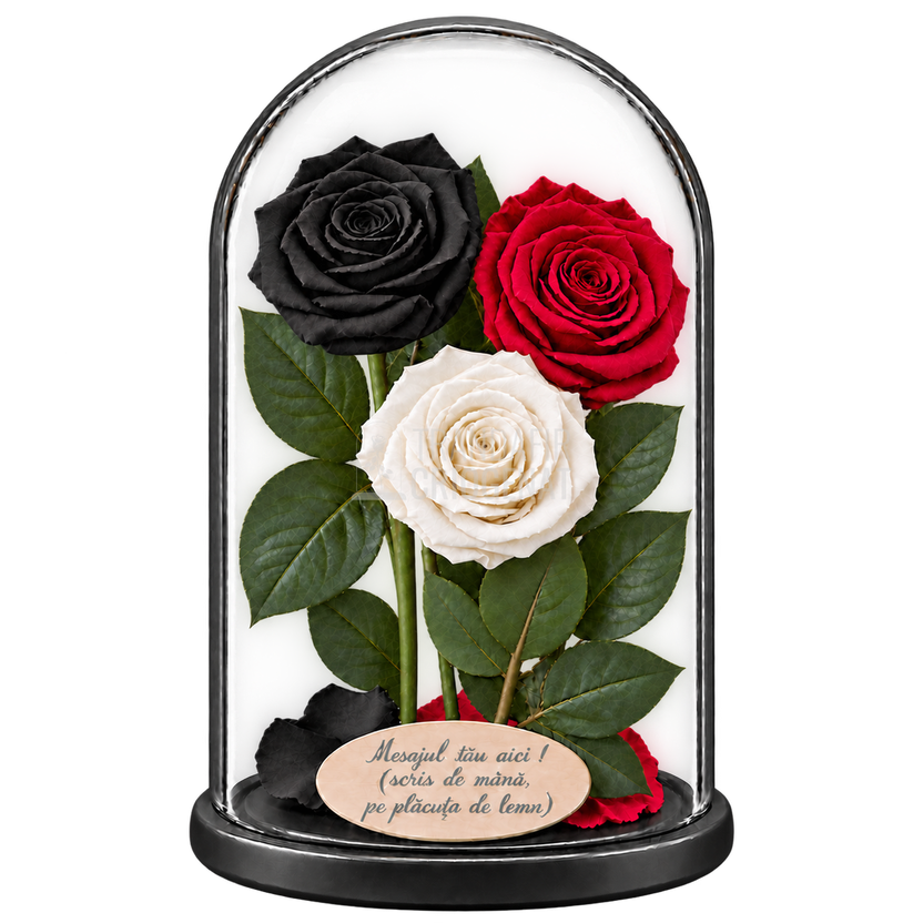 3 trandafiri criogenați XL (1 negru, 1 roșu închis și 1 alb) în cupolă de sticlă 15 × 25 cm - Trandafir-Criogenat.ro