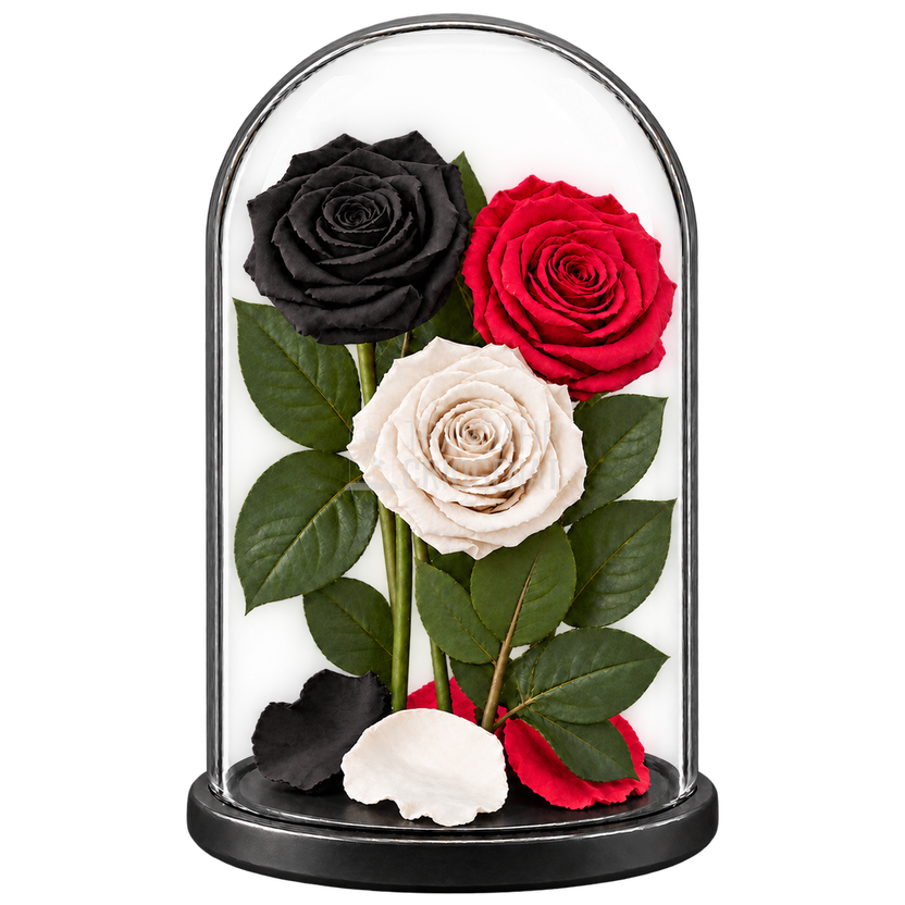 3 trandafiri criogenați XL (1 negru, 1 roșu și 1 alb) în cupolă de sticlă 15 × 25 cm - Trandafir-Criogenat.ro