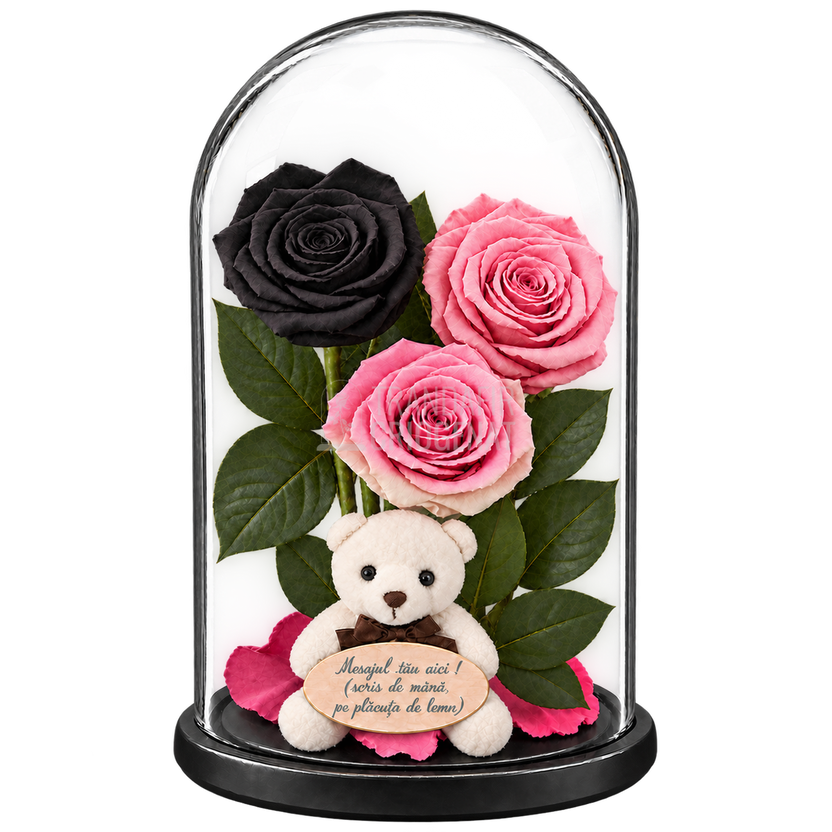 3 trandafiri criogenați XL (1 negru, 1 roz pal și 1 bicolor roz-alb) în cupolă de sticlă 15 × 25 cm - Trandafir-Criogenat.ro
