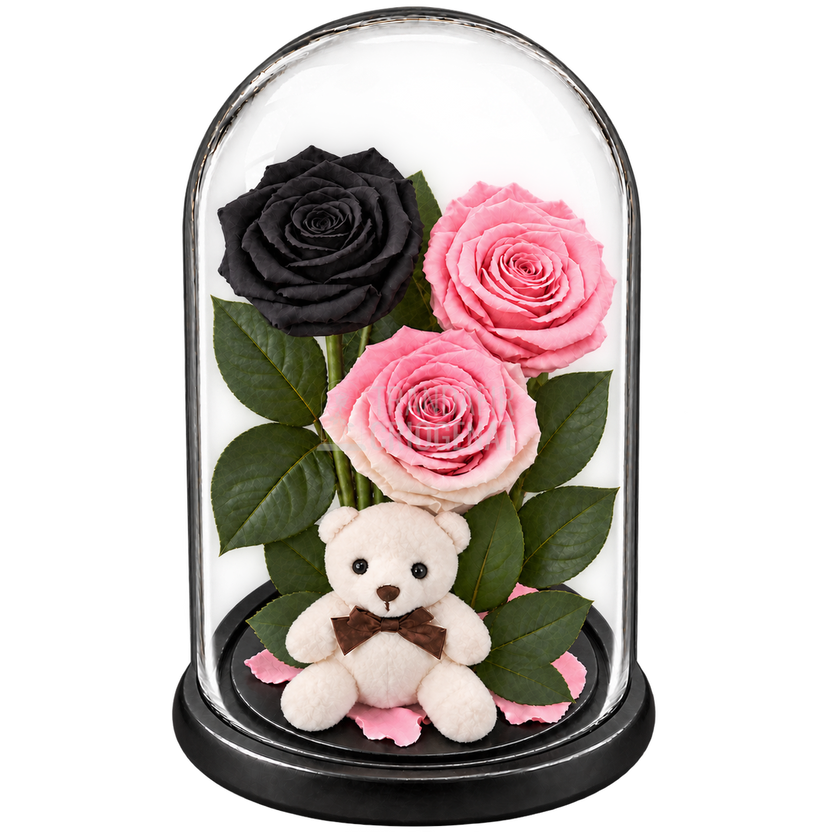 3 trandafiri criogenați XL (1 negru, 1 roz pal și 1 bicolor roz-alb) în cupolă de sticlă 15 × 25 cm - Trandafir-Criogenat.ro