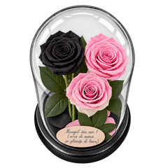 3 trandafiri criogenați XL (1 negru, 1 roz pal și 1 bicolor roz-alb) în cupolă de sticlă 15 × 25 cm - Trandafir-Criogenat.ro