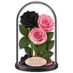 3 trandafiri criogenați XL (1 negru, 1 roz pal și 1 bicolor roz-alb) în cupolă de sticlă 15 × 25 cm - Trandafir-Criogenat.ro