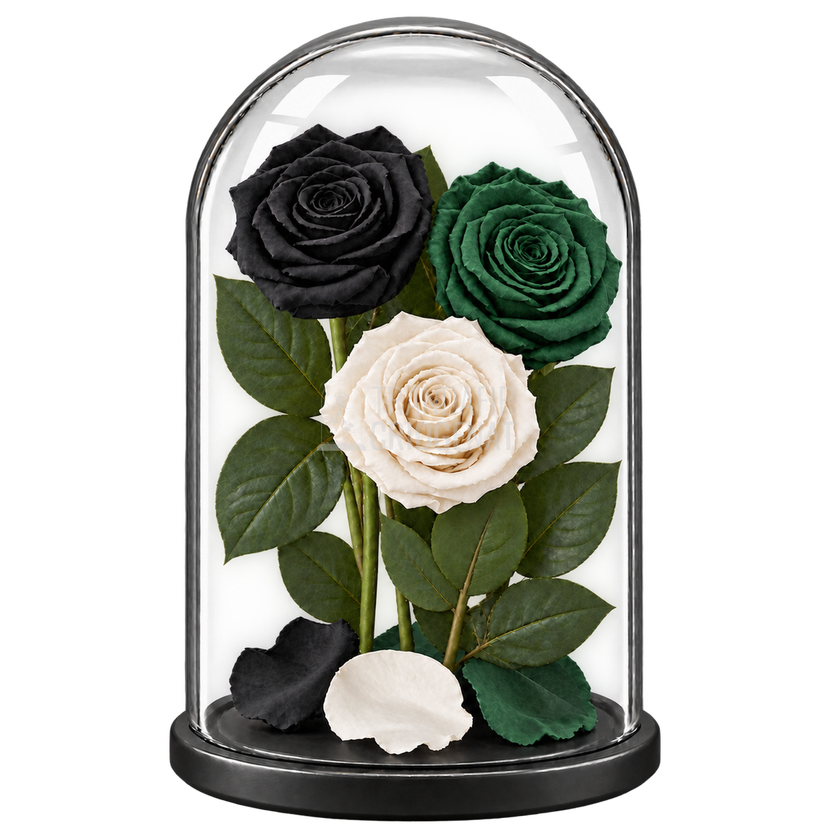 3 trandafiri criogenați XL (1 negru, 1 verde închis și 1 alb) în cupolă de sticlă 15 × 25 cm - Trandafir-Criogenat.ro