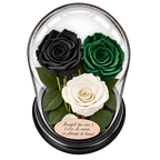 3 trandafiri criogenați XL (1 negru, 1 verde închis și 1 alb) în cupolă de sticlă 15 × 25 cm - Trandafir-Criogenat.ro