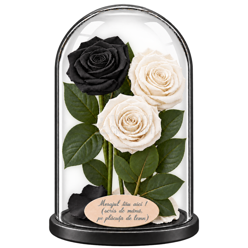 3 trandafiri criogenați XL (1 negru și 2 albi) în cupolă de sticlă 15 × 25 cm - Trandafir-Criogenat.ro