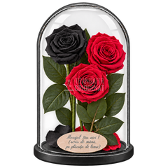 3 trandafiri criogenați XL (1 negru și 2 roșii) în cupolă de sticlă 15 × 25 cm - Trandafir-Criogenat.ro