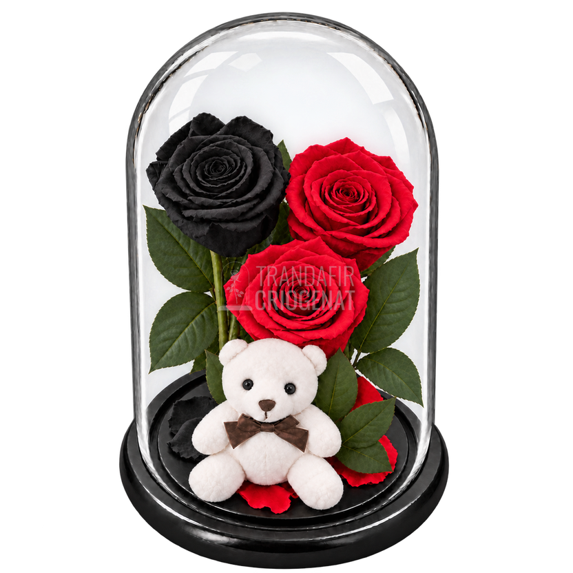 3 trandafiri criogenați XL (1 negru și 2 roșii) în cupolă de sticlă 15 × 25 cm - Trandafir-Criogenat.ro