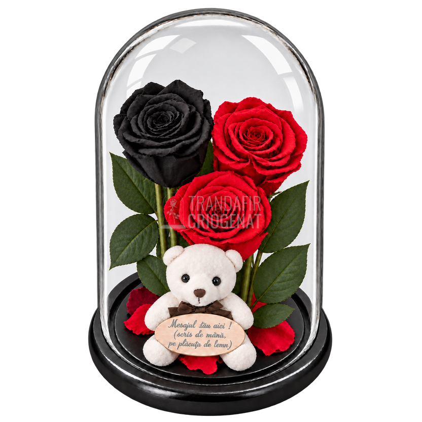 3 trandafiri criogenați XL (1 negru și 2 roșii) în cupolă de sticlă 15 × 25 cm - Trandafir-Criogenat.ro