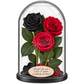 3 trandafiri criogenați XL (1 negru și 2 roșii închiși) în cupolă de sticlă 15 × 25 cm - Trandafir-Criogenat.ro
