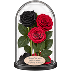 3 trandafiri criogenați XL (1 negru și 2 roșii închiși) în cupolă de sticlă 15 × 25 cm - Trandafir-Criogenat.ro