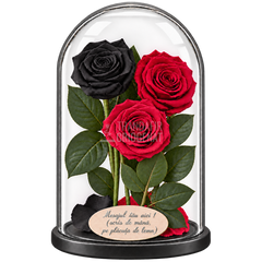 3 trandafiri criogenați XL (1 negru și 2 roșii închiși) în cupolă de sticlă 15 × 25 cm - Trandafir-Criogenat.ro