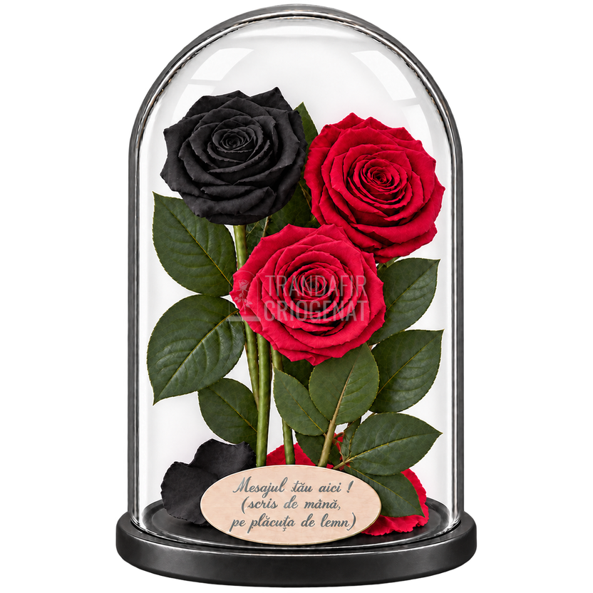 3 trandafiri criogenați XL (1 negru și 2 roșii închiși) în cupolă de sticlă 15 × 25 cm - Trandafir-Criogenat.ro