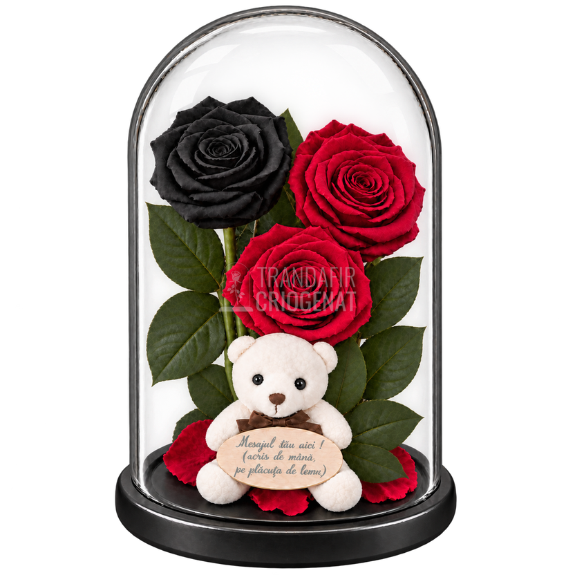 3 trandafiri criogenați XL (1 negru și 2 roșii închiși) în cupolă de sticlă 15 × 25 cm - Trandafir-Criogenat.ro