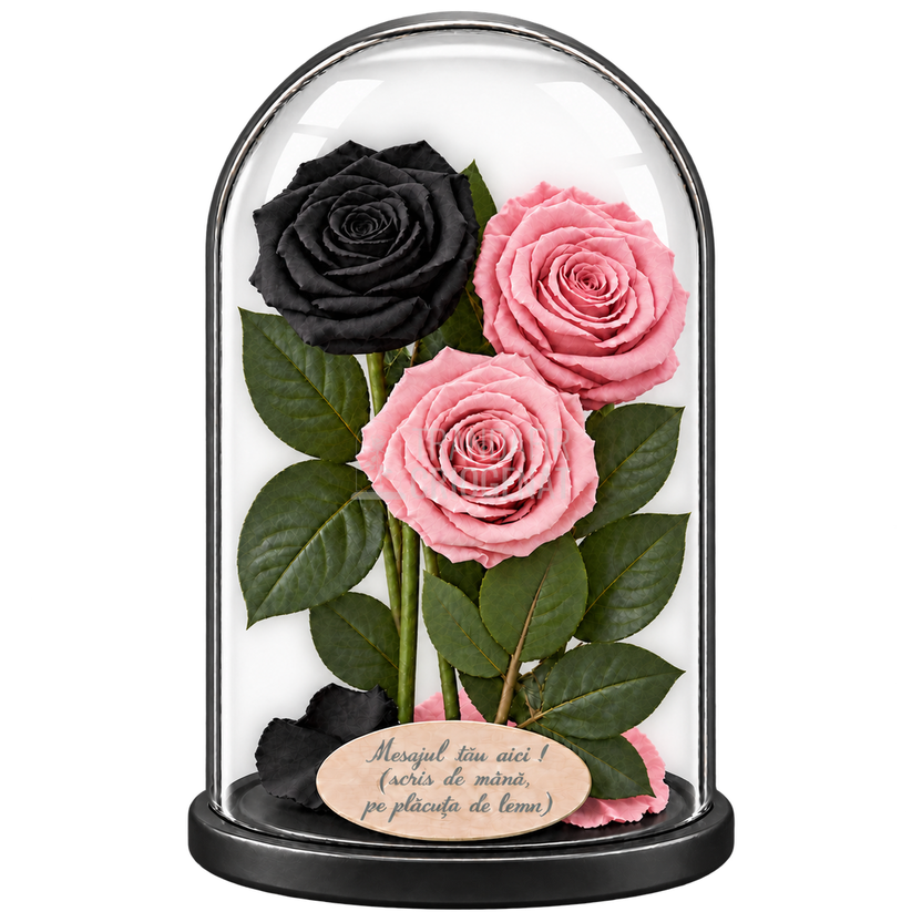 3 trandafiri criogenați XL (1 negru și 2 roz pal) în cupolă de sticlă 15 × 25 cm - Trandafir-Criogenat.ro