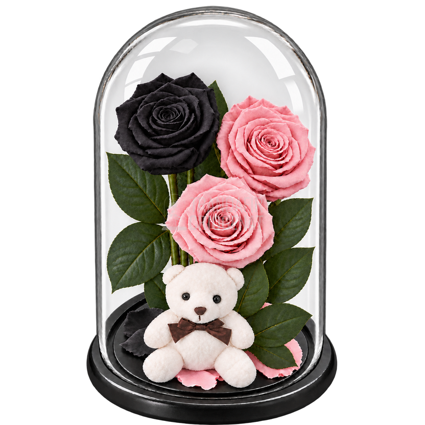 3 trandafiri criogenați XL (1 negru și 2 roz pal) în cupolă de sticlă 15 × 25 cm - Trandafir-Criogenat.ro